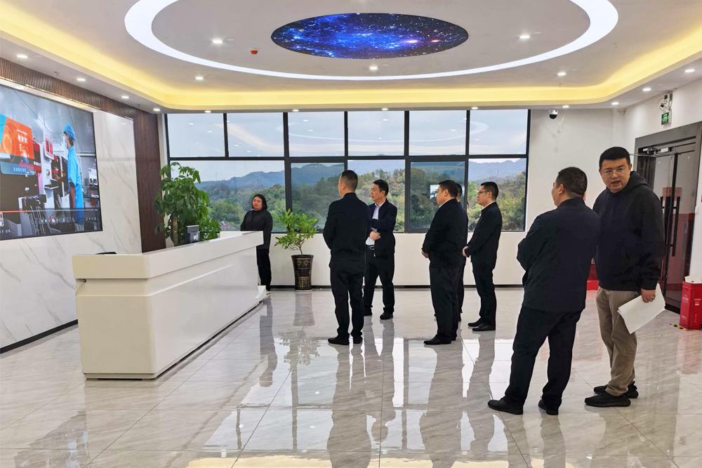 省工信廳劉衛(wèi)東一行赴湖南繪晶科技調(diào)研 聚焦顯示產(chǎn)業(yè)發(fā)展質(zhì)效?